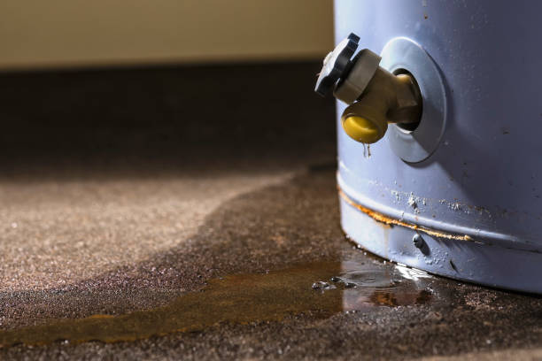 Best Water damage restoration near me  in New Eagle, PA