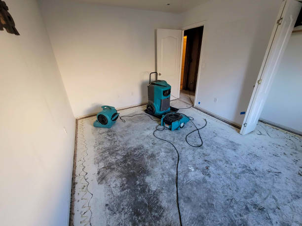 Best 24/7 water damage repair  in New Eagle, PA