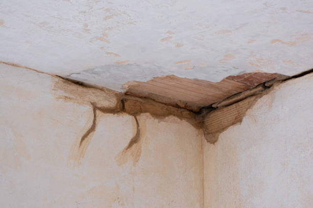 Best Flood restoration services  in New Eagle, PA