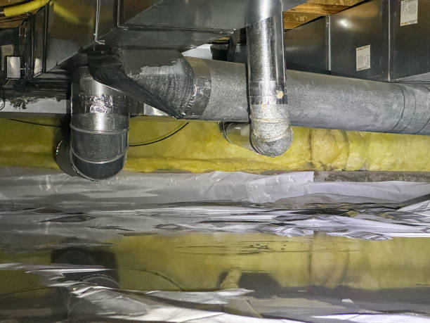 Best 24-hour water damage restoration  in New Eagle, PA