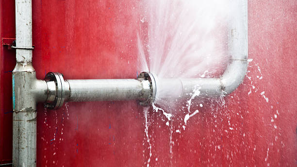 Best Flood restoration services  in New Eagle, PA